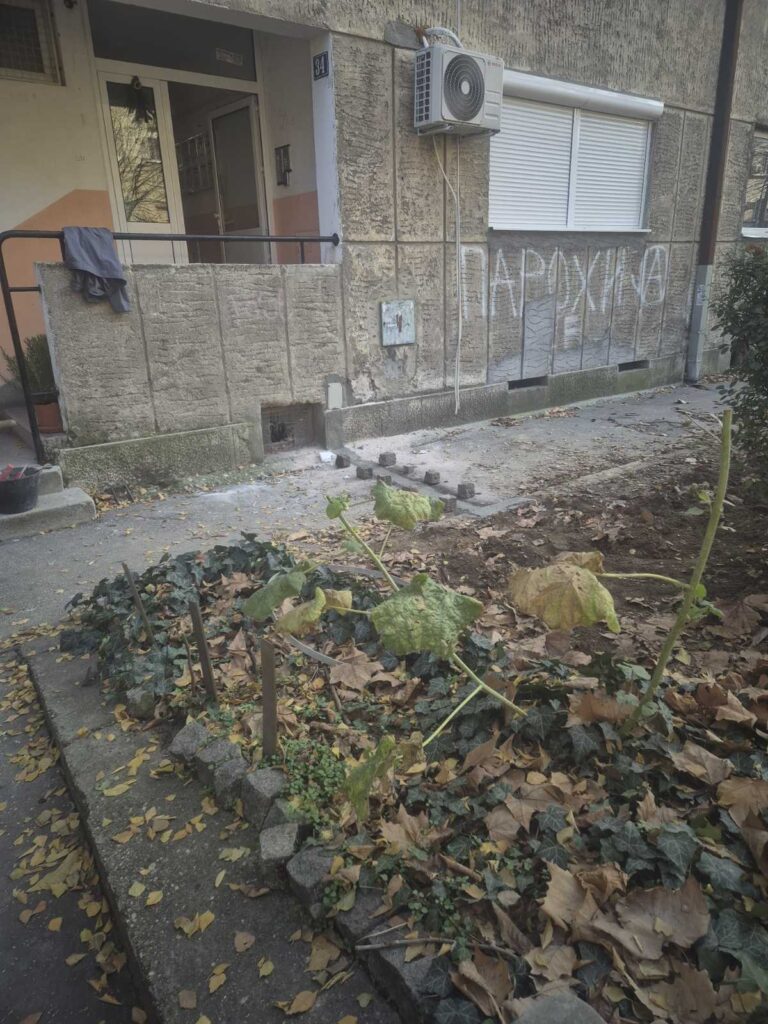 0-02-05-165440481cae8bff6f1a1eb191d0e3fd34ef51bee1c96027b13367a05412117f_a71c0433e7663ccb